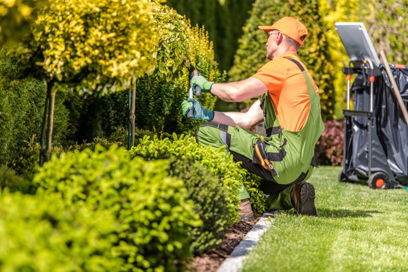 Professional Landscaping Services