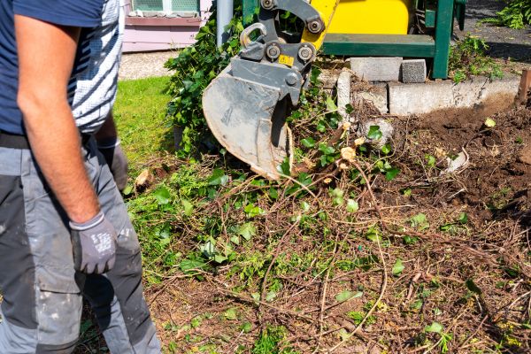 Hedge Removal Service in Haverhill