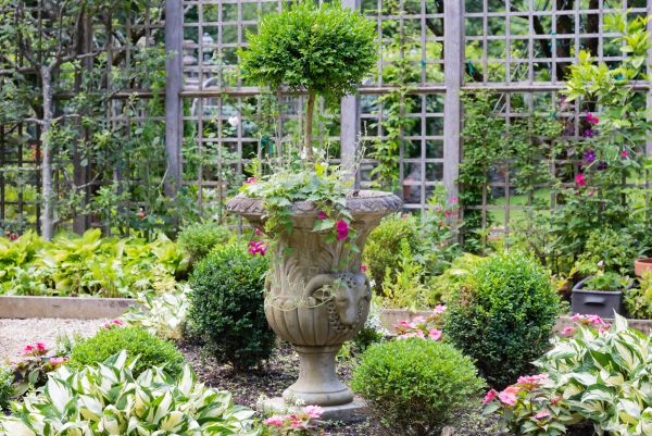 Cost of Topiary Pruning in Haverhill