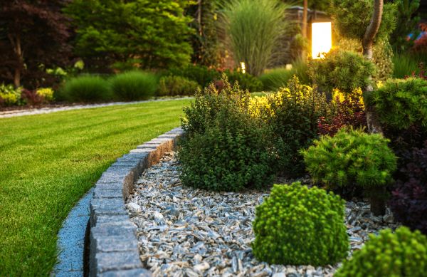 Cost of Bush Relocation in Haverhill