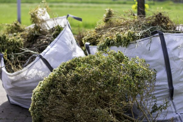 Cost of Shrubs Removal in Haverhill
