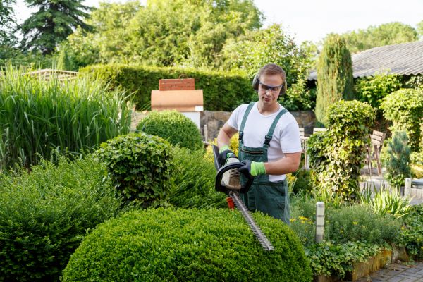 Shrubs Trimming in Haverhill